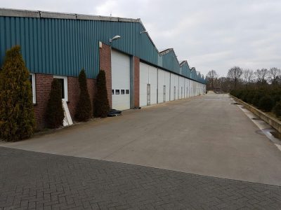 Muchamp Champignons foto-