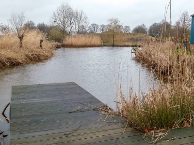 Muchamp Champignons foto-2