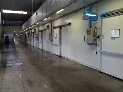 Muchamp Champignons foto--2