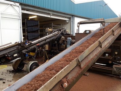 Muchamp Champignons foto--5