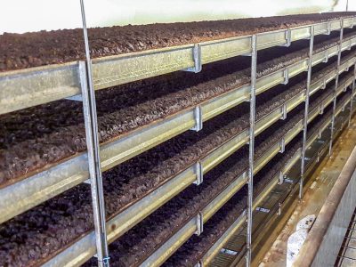 Muchamp Champignons foto--6