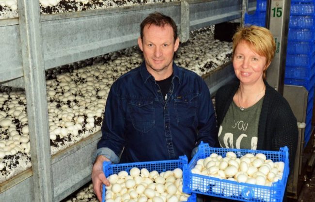 Muchamp Kom in de Kas