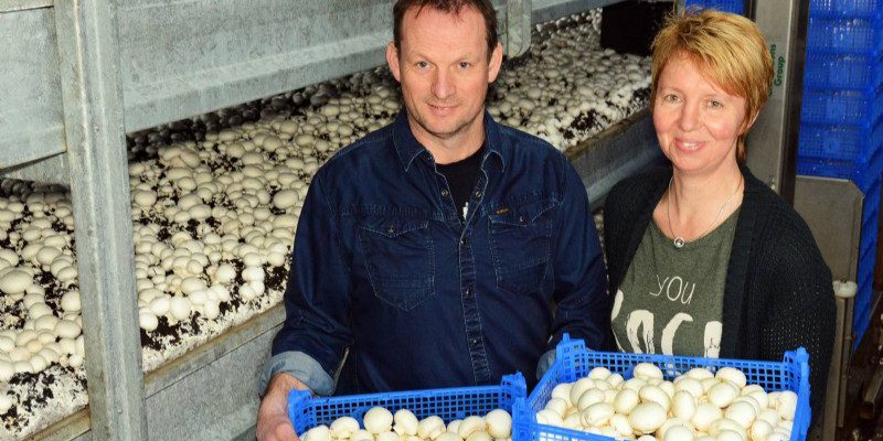 Muchamp Kom in de Kas